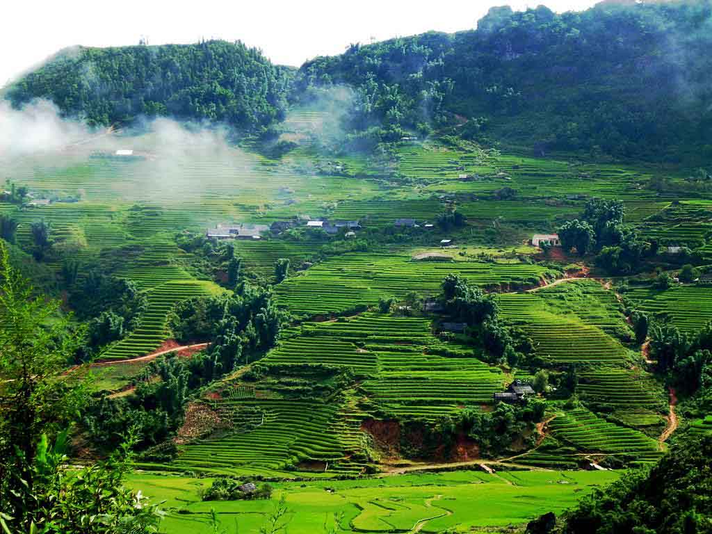 Du Lịch Mộc Châu