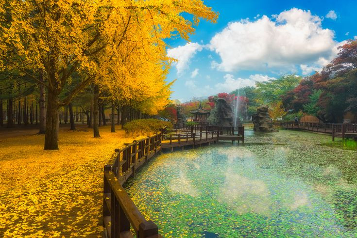Du lịch Hàn Quốc - Đảo Nami xinh đẹp