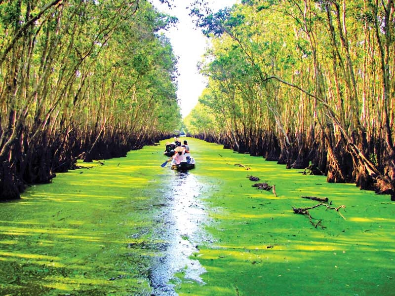 Rừng tràm trà sư Rừng tràm trà sư