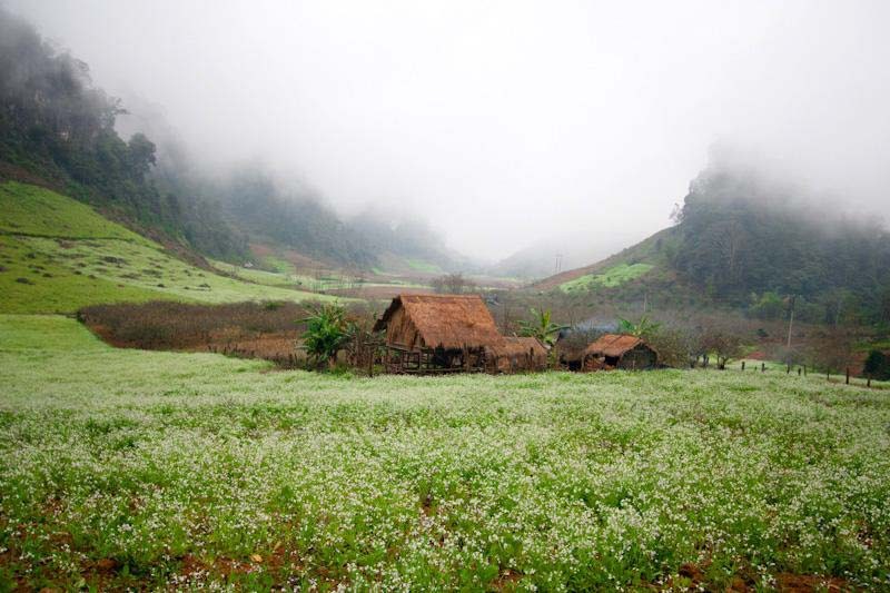 Bản Pa Phách