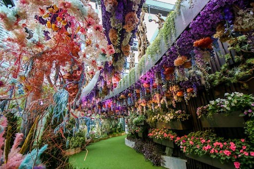 Floral Fantasy