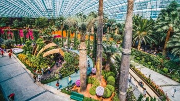 Flower Dome
