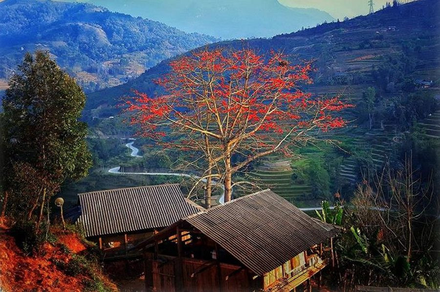 Tour Du Lịch Hà Nội - Hà Giang - Sapa - Đỉnh Fansipan 1