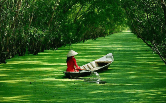 Rừng tràm Trà Sư Rừng tràm Trà Sư