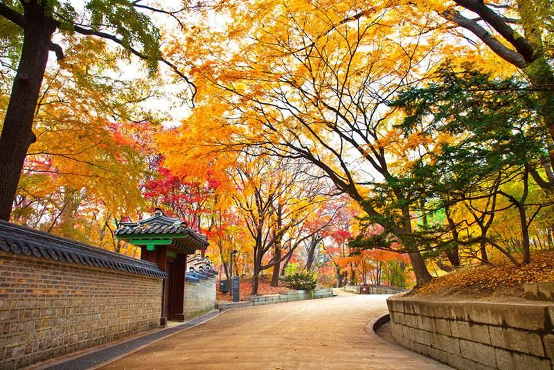 Vì sao tour Hàn Quốc trọn gói 2