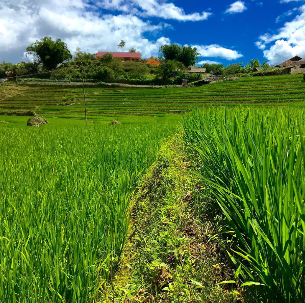 BẢN TẢ PHÌN