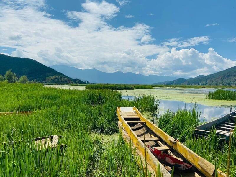 biển cỏ hồ Lugu biển cỏ hồ Lugu
