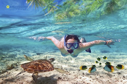 Bơi snorkeling