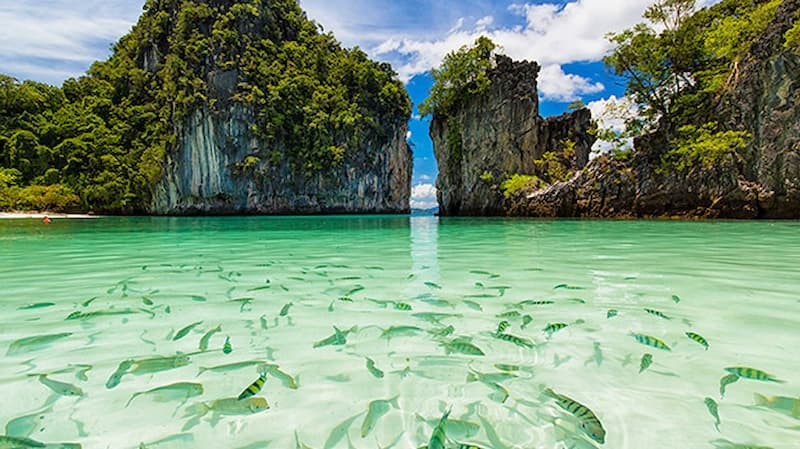 Những Hoạt Động tại Đảo Krabi