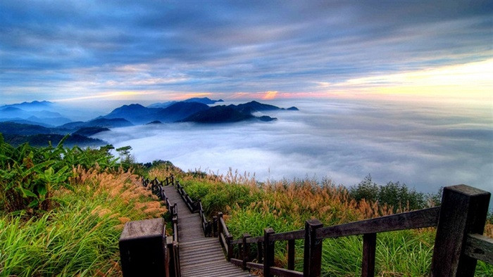 Alishan Đài Loan Alishan Đài Loan