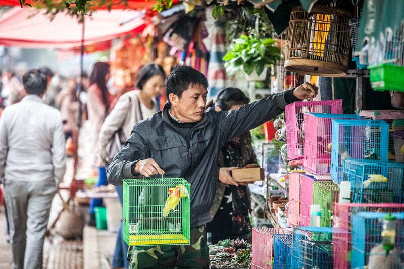 Chợ Jingxing Côn Minh Chợ Jingxing Côn Minh
