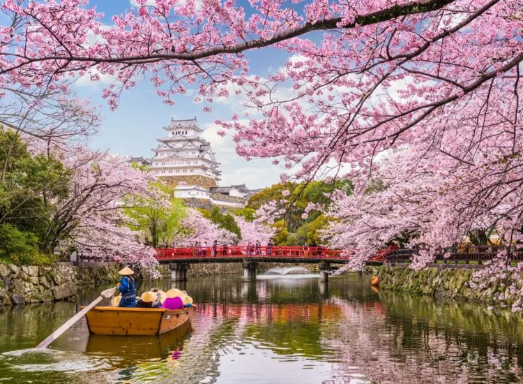 Chuẩn bị đồ đi Nhật 1