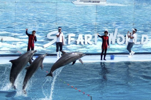 Công viên biển ở Safari World Thái Lan
