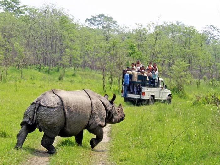 Công viên quốc gia Chitwan National Park - Du lịch Ấn Độ Nepal