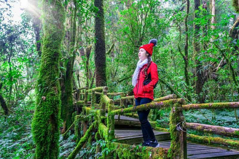 Kinh nghiệm khi tham quan vườn quốc gia Doi Inthanon Kinh nghiệm khi tham quan vườn quốc gia Doi Inthanon