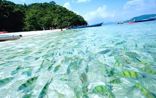 Đảo Coral xinh đẹp