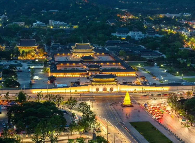 check-in Hàn Quốc 2026-2