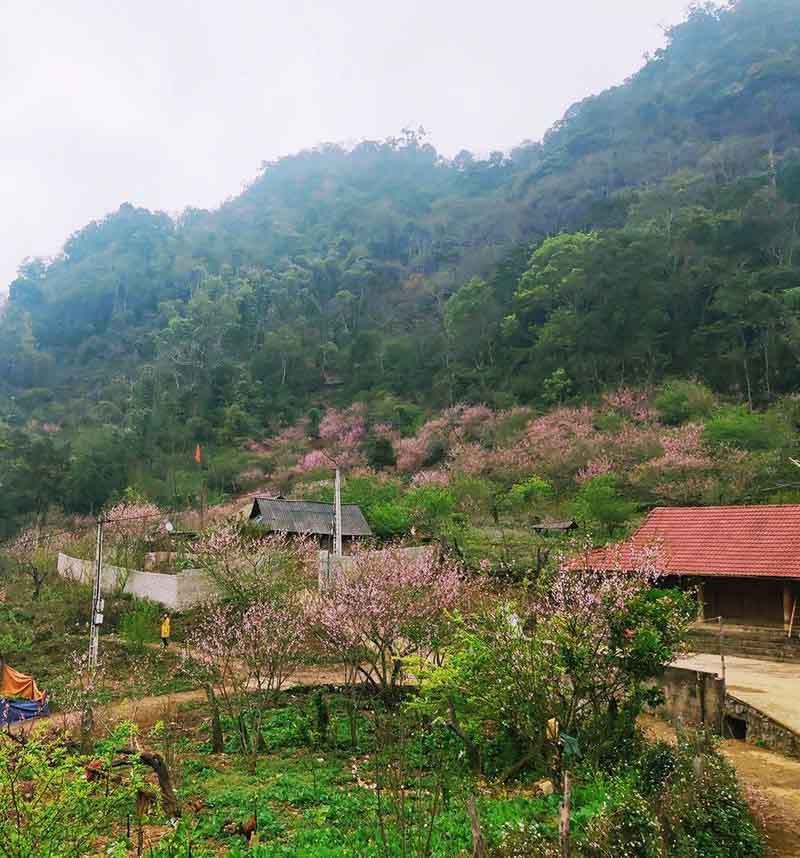 Địa điểm du lịch bản lóng luông Địa điểm du lịch bản lóng luông