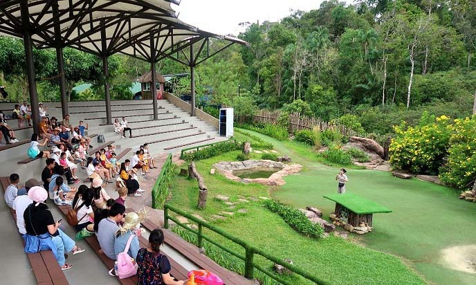 Tham quan vườn thú tại Vinpearl Safari. 