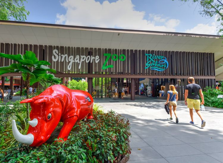 Singapore Zoo địa điểm du lịch Singapore địa điểm du lịch Singapore 4
