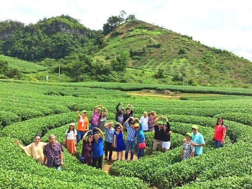 Mộc Châu tháng 9 - đồi chè trái tim