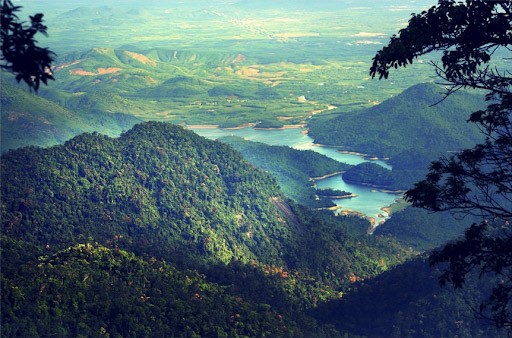 Đỉnh núi Bạch Mã Huế