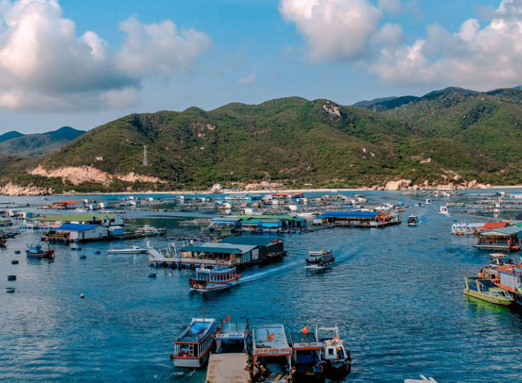 Vì sao chọn du lịch Bình Hưng Tết 2026 du lịch Bình Hưng Tết 2026 1