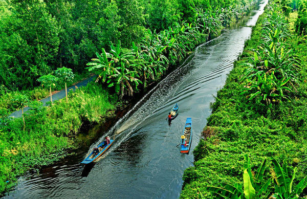 Tour Tết Cà Mau