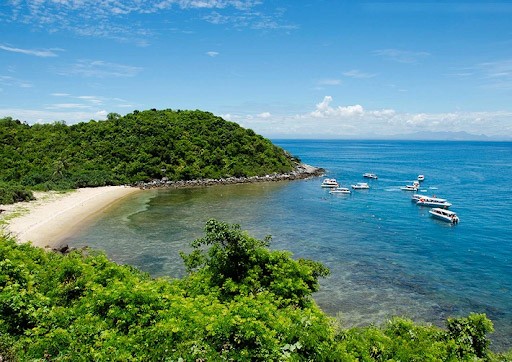 Hệ sinh thái tại Cù Lao Chàm 