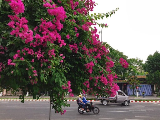 Du lịch Đà Nẵng