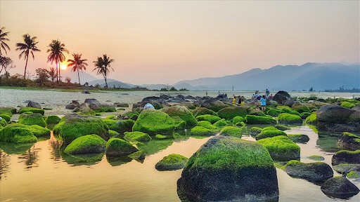 Rạn Nam Ô Đà Nẵng 