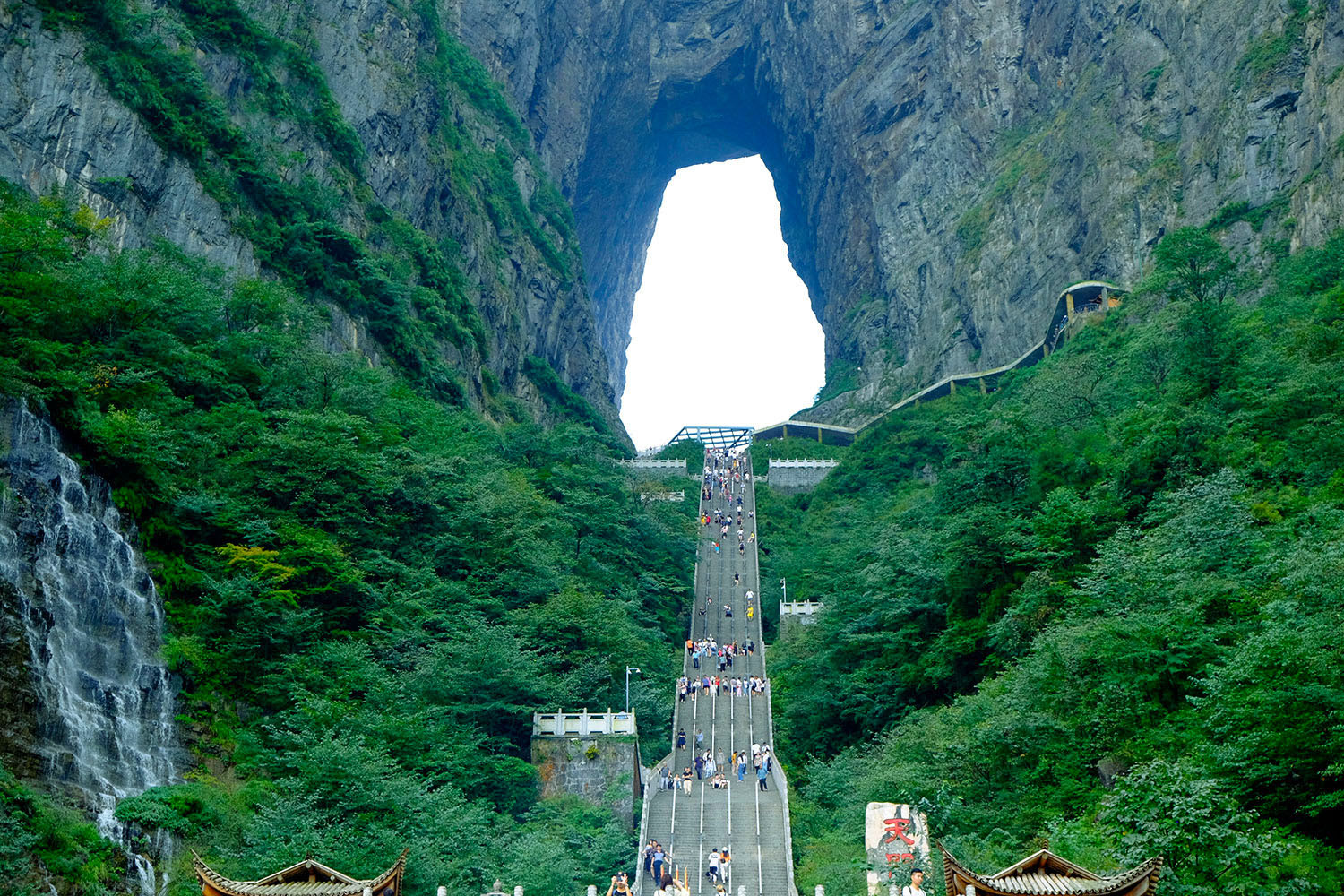 Trương Gia Giới