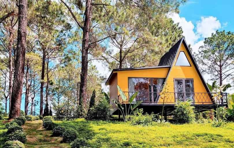 Hình ảnh rừng thông Bản Áng Mộc Châu