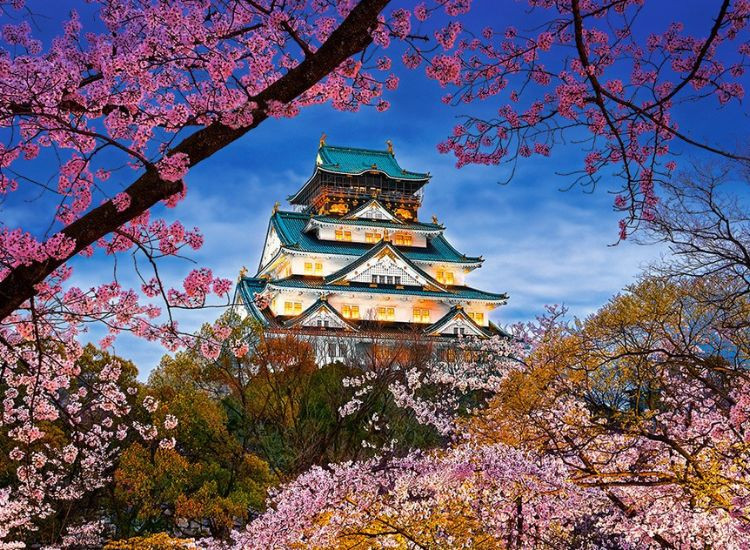 Du lịch Osaka 3