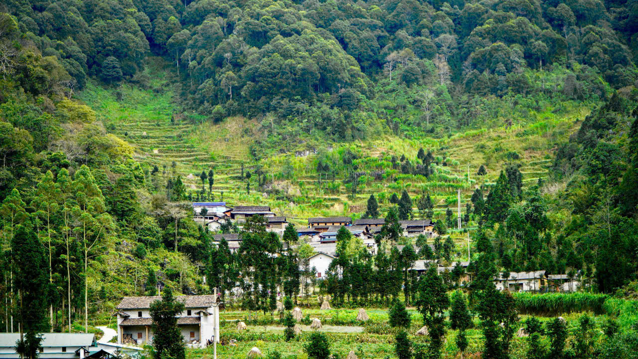 Du lịch Phố Cáo Hà Giang(2) du-lich-pho-cao-ha-giang(2)