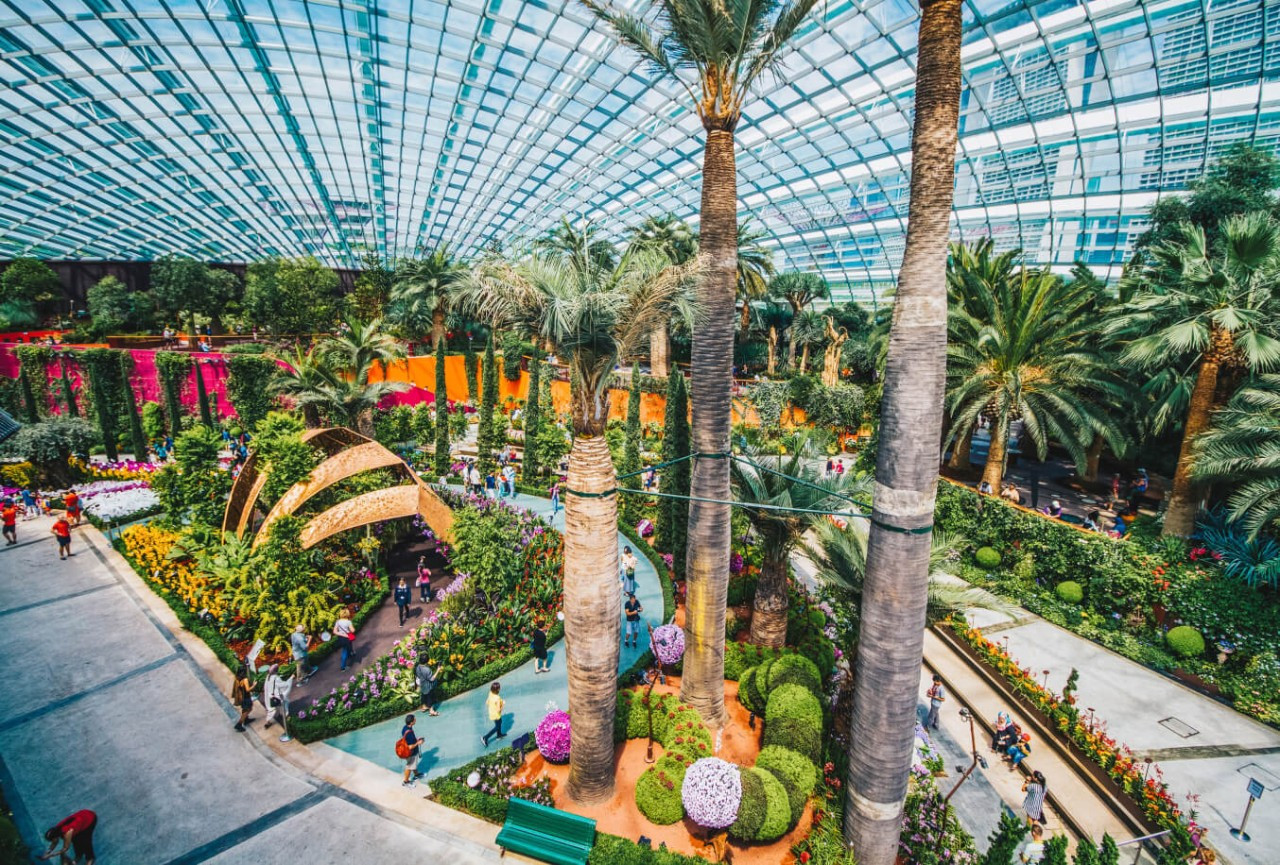 Flower Dome – Nhà kính hoa lớn nhất thế giới Flower Dome – Nhà kính hoa lớn nhất thế giới