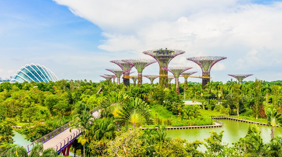Gardens by the Bay Gardens by the Bay