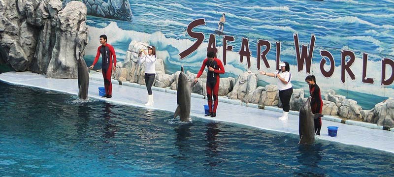 Giá tour du lịch Thái Lan Safari World