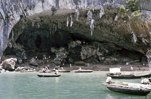 Hang Bồ Nâu Hạ Long