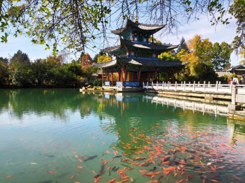 hồ cá Rồng Đen tại công viên Hắc Long Đàm Lệ Giang hồ cá Rồng Đen tại công viên Hắc Long Đàm Lệ Giang