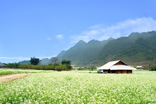 Mộc Châu tháng 9