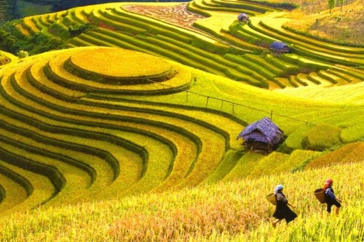 top 10 các điểm du lịch Hà Giang - Hoàng Su Phì