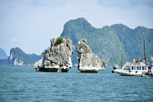 Hòn Gà Chọi vịnh Hạ Long