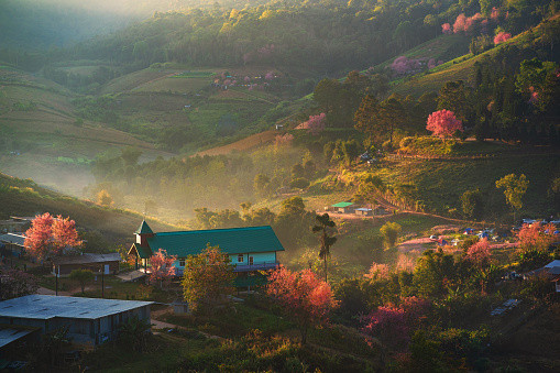 Tour Du Lịch Hà Nội - Hà Giang - Sapa - Đỉnh Fansipan 2