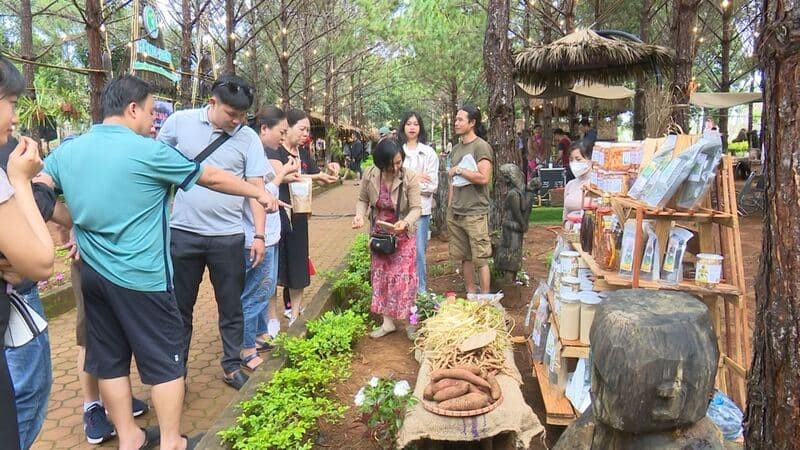 Giới thiệu về chợ phiên Măng Đen Giới thiệu về chợ phiên Măng Đen