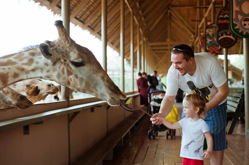 Khu Vui Chơi Giải Trí Safari World Khu Vui Chơi Giải Trí Safari World