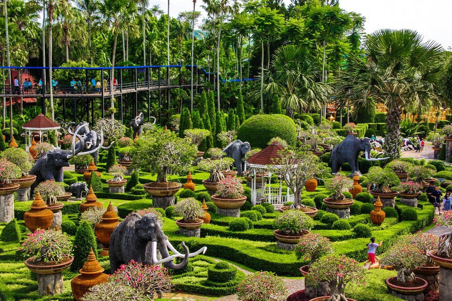 Khu vườn Bonsai 