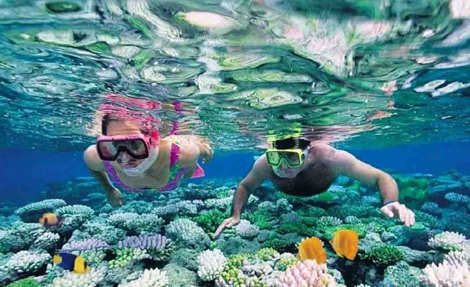 Lặng biển ngắm san hô tại Kỳ Co Eo Gió