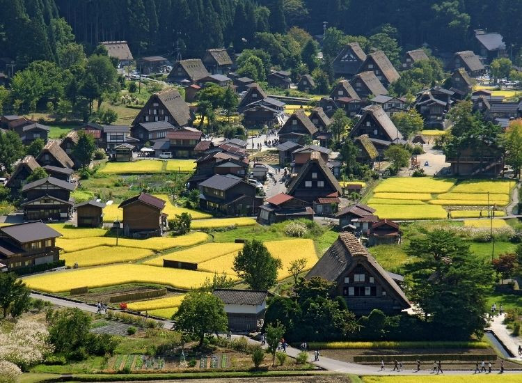 Làng cổ Shirakawa-go 1