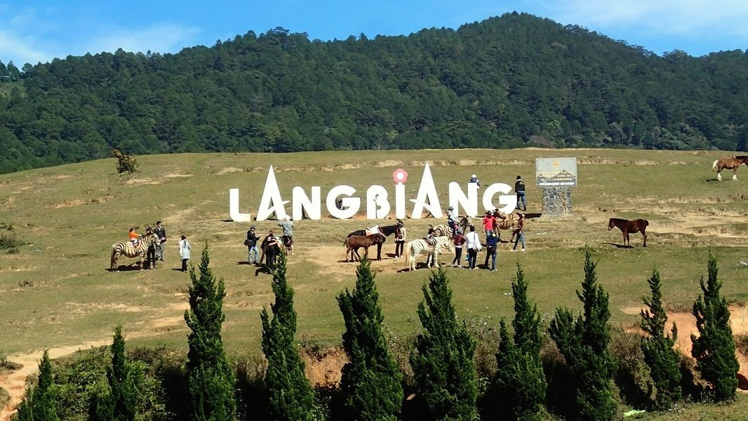 Tour săn mây Đà Lạt trọn gói tại Langbiang Land Tour săn mây Đà Lạt trọn gói 3